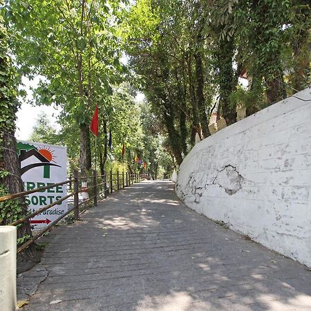 Oyo 5248 Surbee Resorts Mussoorie Exteriör bild